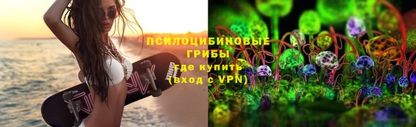 индика Белоозёрский