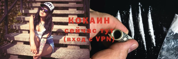 индика Белоозёрский