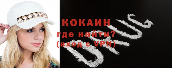 индика Белоозёрский