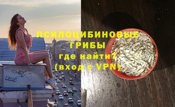метадон Белокуриха