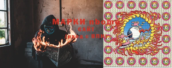 индика Белоозёрский