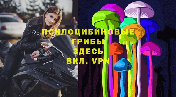 метадон Белокуриха