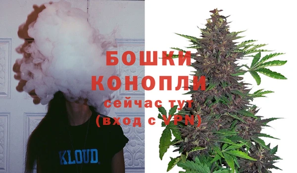 индика Белоозёрский