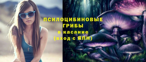 индика Белоозёрский