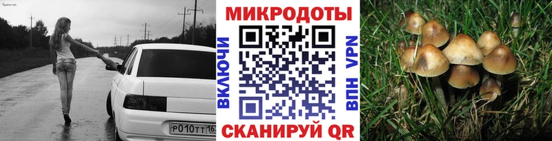 Галлюциногенные грибы MAGIC MUSHROOMS Коммунар